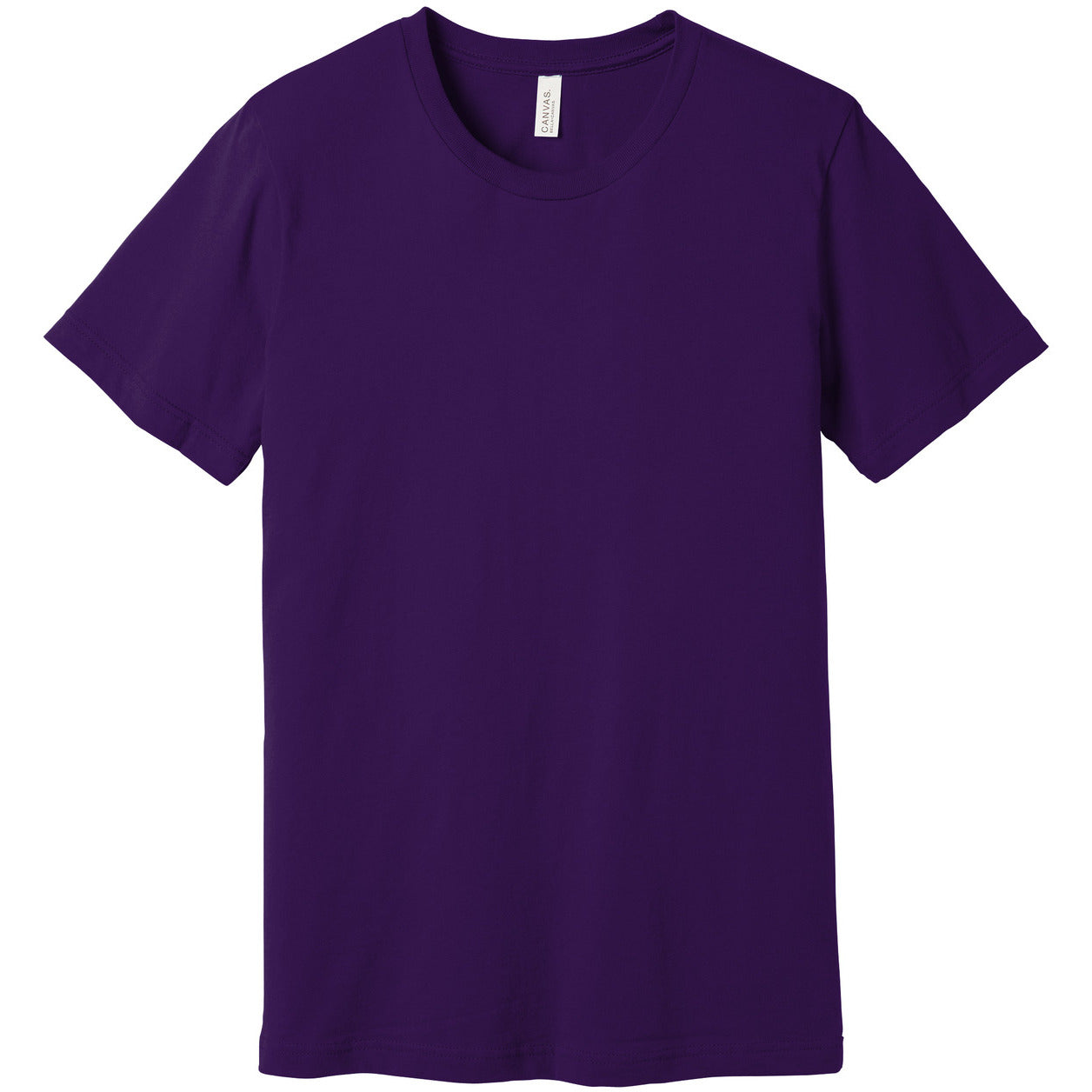 BC3001-Team Purple